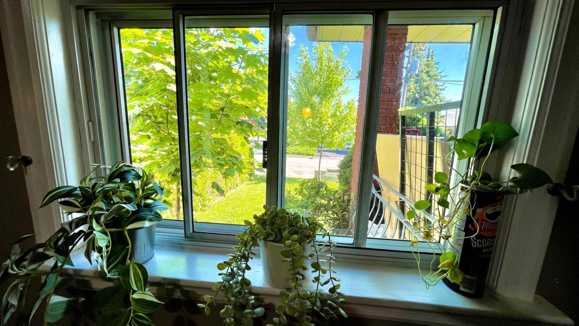 Glengrove Cozy Home Toronto Zewnętrze zdjęcie