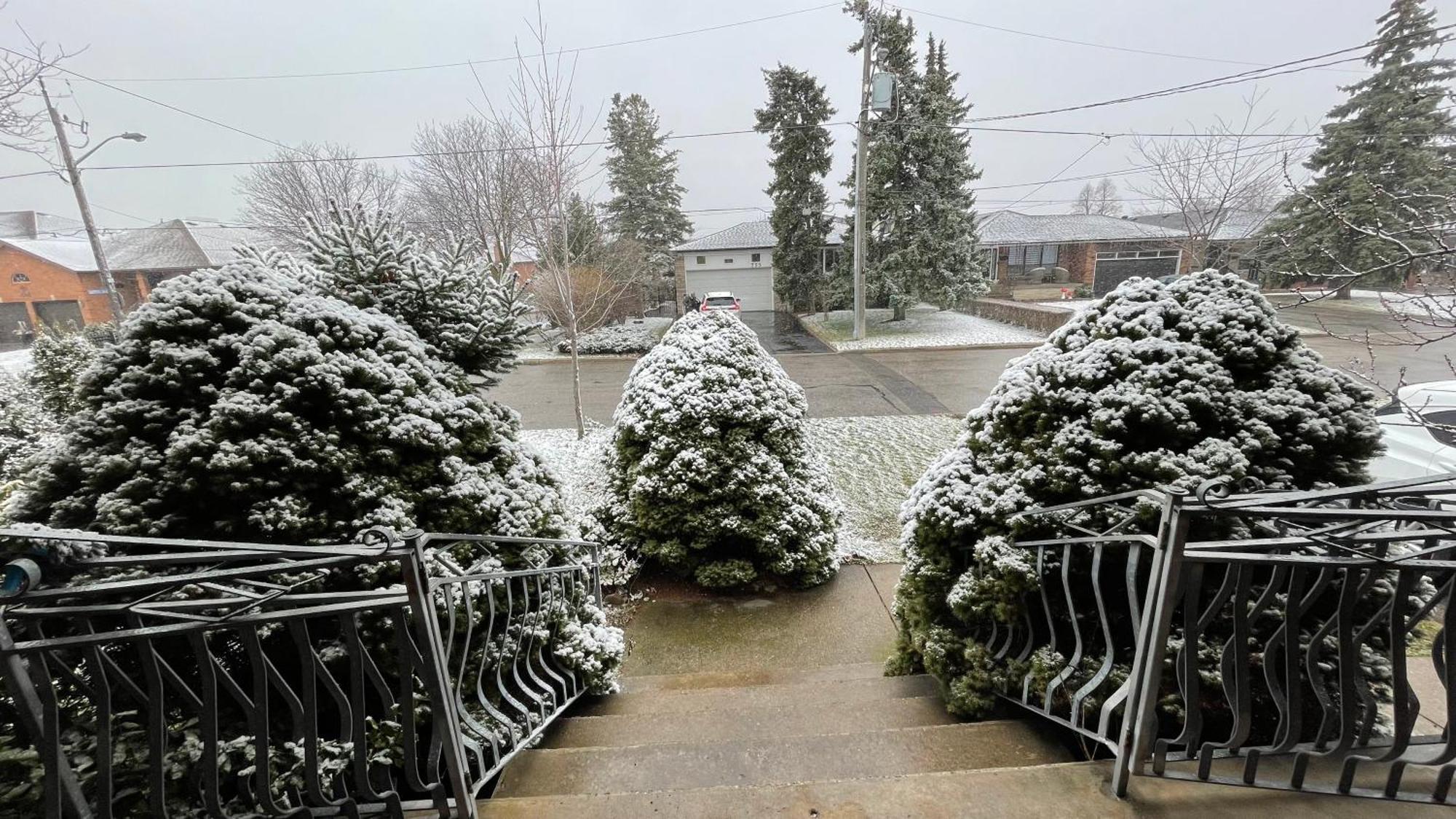 Glengrove Cozy Home Toronto Zewnętrze zdjęcie